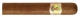 Bolivar Royal Coronas