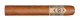 CAO Gold