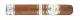 Rocky Patel Dark Star Sixty
