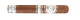 Rocky Patel Dark Star Robusto