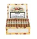 Paradiso Elegancia Robusto