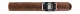 CAO Bones Blind Hughie