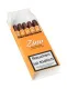 Zino Nicaragua Short Puritos