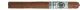 Platinum Nova Congress Lancero