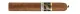 Tatuaje L’Atelier 54
