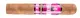 Rebellion Rockstar Range You Shook Me All Night Long Robusto