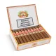 San Martin Robusto