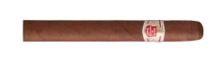 Hoyo de Monterrey Le Hoyo du Maire