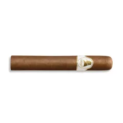 Davidoff Winston Churchill Robusto
