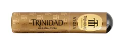 Trinidad Vigia AT
