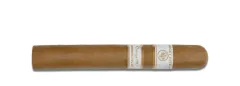 Rocky Patel Vintage 1999 Robusto
