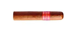 Partagas Serie D No.5