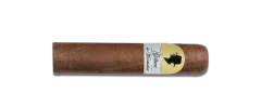 Gilbert Revolution Style Gordito Gilbert Revolution Style Gordito