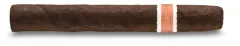 RoMa Craft Neanderthal HS Toro