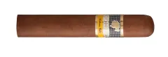 Cohiba Robustos