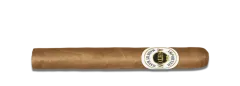 Ashton Classic Corona