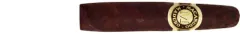 Macanudo Maduro Diplomat