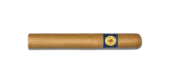 Santa Damiana Petit Corona