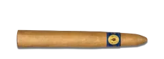 Santa Damiana Torpedo