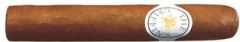 The Griffins Robusto