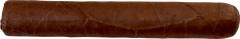 Cusano Robusto