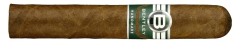 Bentley Robusto