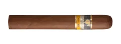 Cohiba Siglo VI