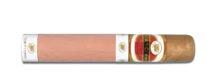 Flor de Copan Titan