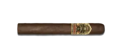 Ashton VSG Robusto