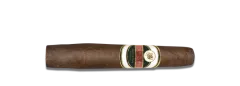 Flor de Copan Gordito Maduro