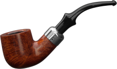 Peterson PPP Standard System 301