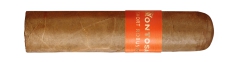 Montosa Short Robusto