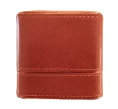 Cigarillo Case