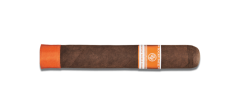 Rocky Patel CSWC Robusto