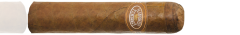A. Flores El Criollito Rosado Short Gordo