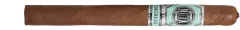 Platinum Nova Congress Lancero