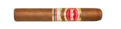San Martin Robusto